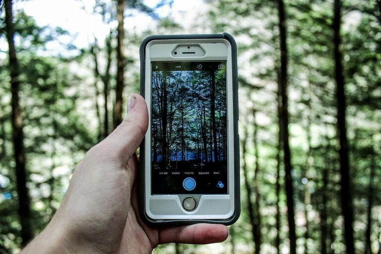 Beginner Tips for Taking Better Phone Photos: A Simple Guide